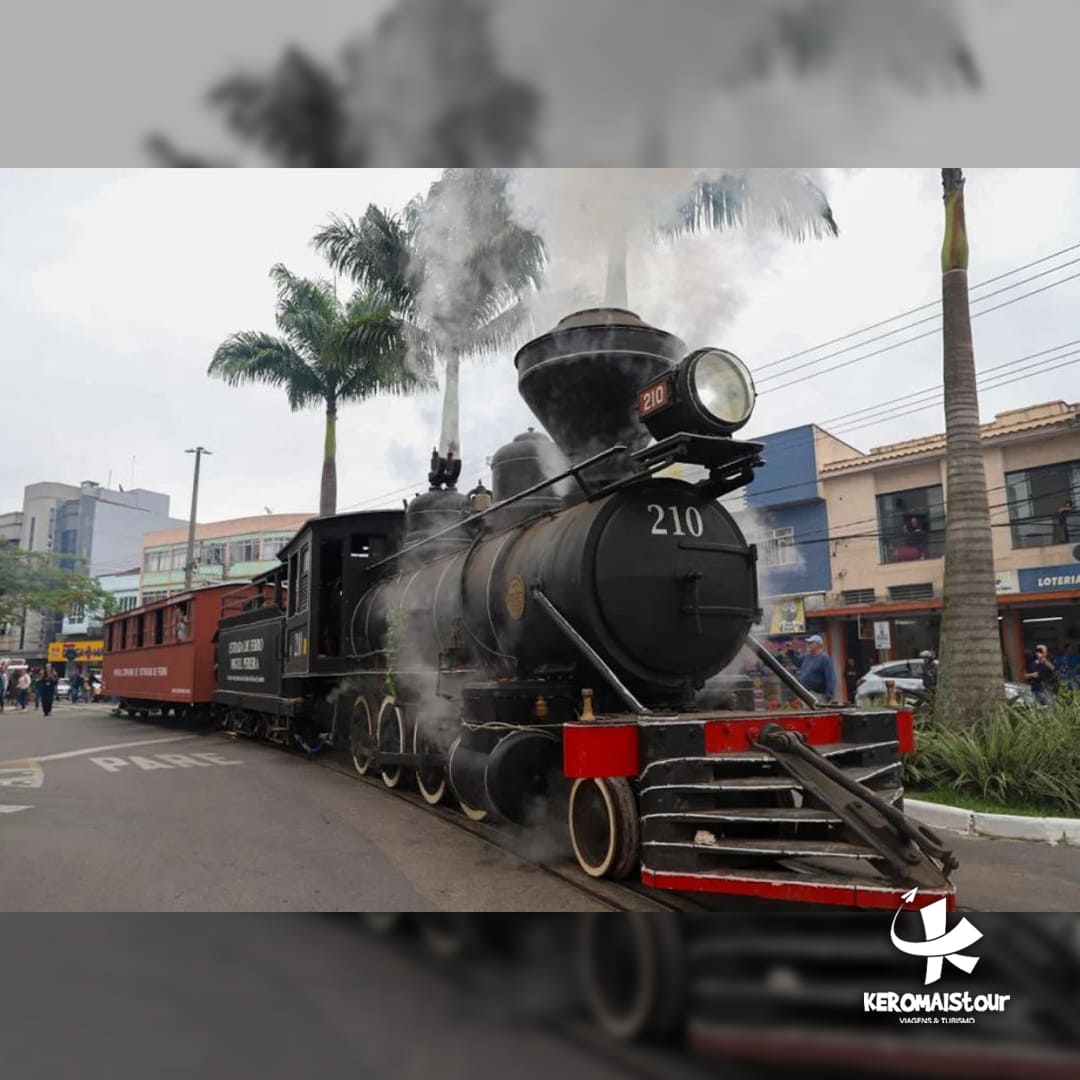 PARQUE DOS DINOSSAUROS E MIGUEL PEREIRA | RJ. - Imagem 3